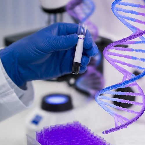 Multi-Cancer Early Detection Screen